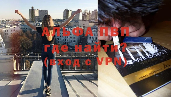 стаф Алексеевка