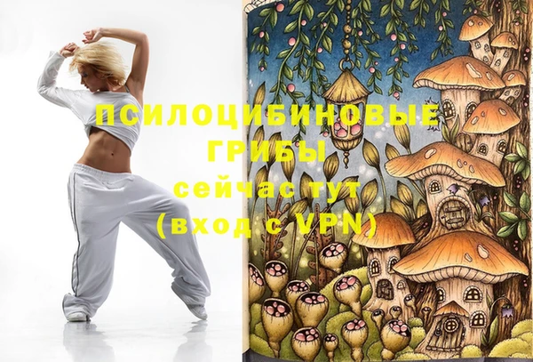 стаф Алексеевка